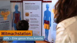 Video: Mitmachstation, Spielfläche HPV