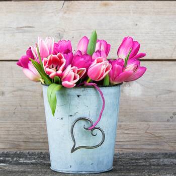 Spende verschenken - Tulpen