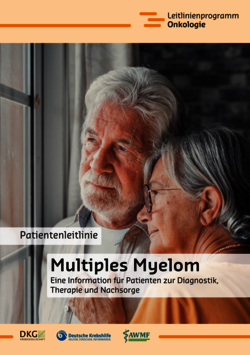 Patientenleitlinie: Multiples Myelom