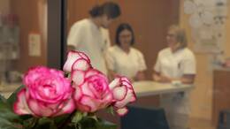 Rosa Rosen in der Palliativ-Station der Uniklinik Erlangen mit drei Pflegekräften im Hintergrund