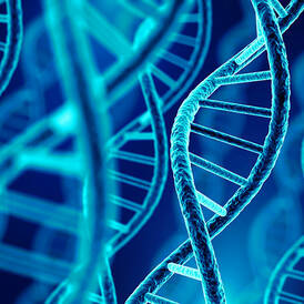 Neues aus der Forschung DNA