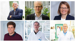 Deutsche Krebshilfe fördert sechs Projekte mit hohem Innovationspotenzial
