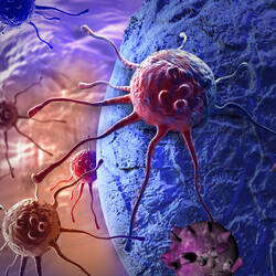 Künstliche Moleküle helfen Immunzellen